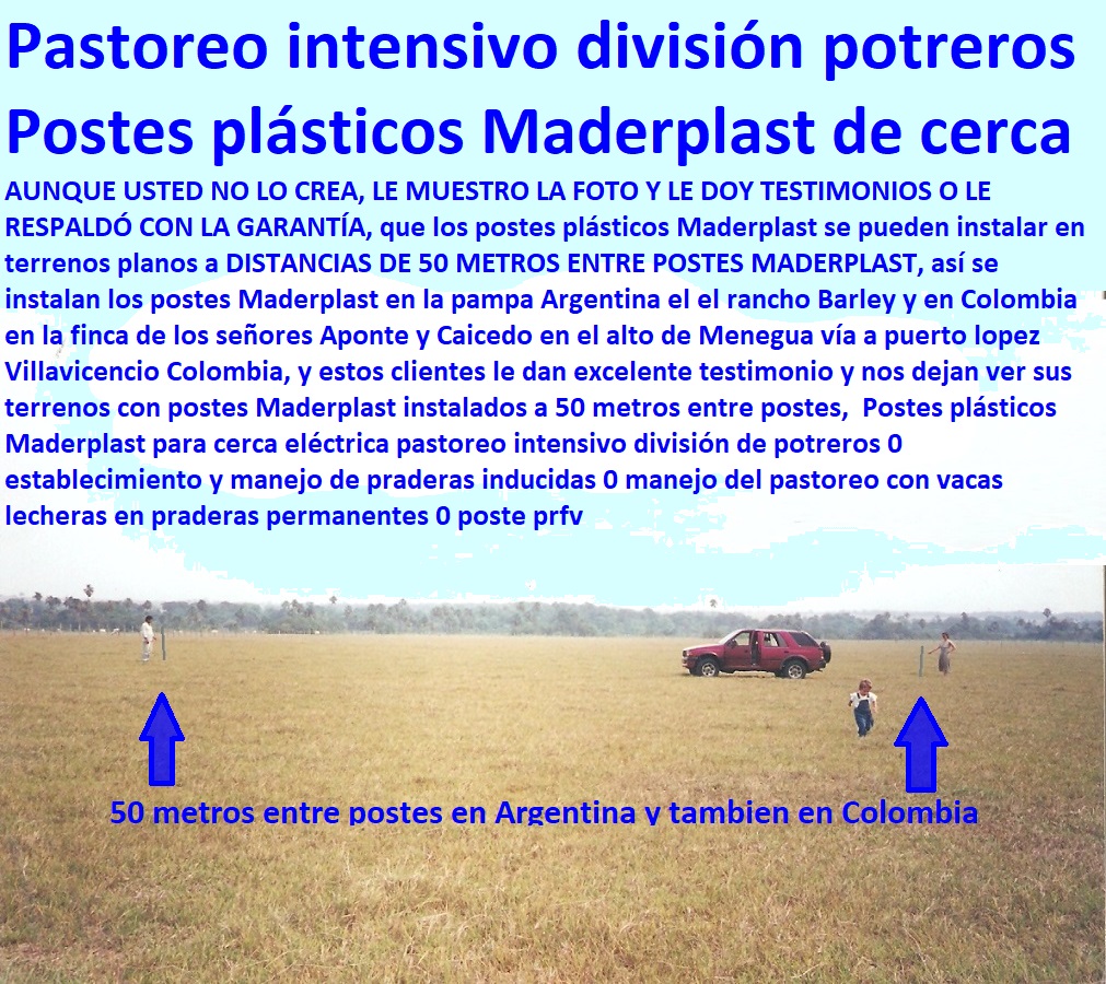 Postes plásticos Maderplast para cerca eléctrica pastoreo intensivo división de potreros 0 establecimiento y manejo de praderas inducidas 0 manejo del pastoreo con vacas lecheras en praderas permanentes 0 poste prfv Postes plásticos Maderplast para cerca eléctrica pastoreo intensivo división de potreros 0 establecimiento y manejo de praderas inducidas 0 manejo del pastoreo con vacas lecheras en praderas permanentes 0 poste prfv Postes plásticos Maderplast para cerca eléctrica pastoreo intensivo división de potreros 0 establecimiento y manejo de praderas inducidas 0 manejo del pastoreo con vacas lecheras en praderas permanentes 0 poste prfv